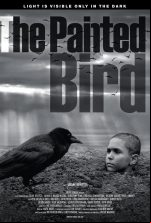pelicula El Pajaro Pintado