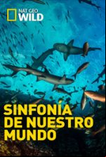 pelicula Sinfonía de Nuestro Mundo